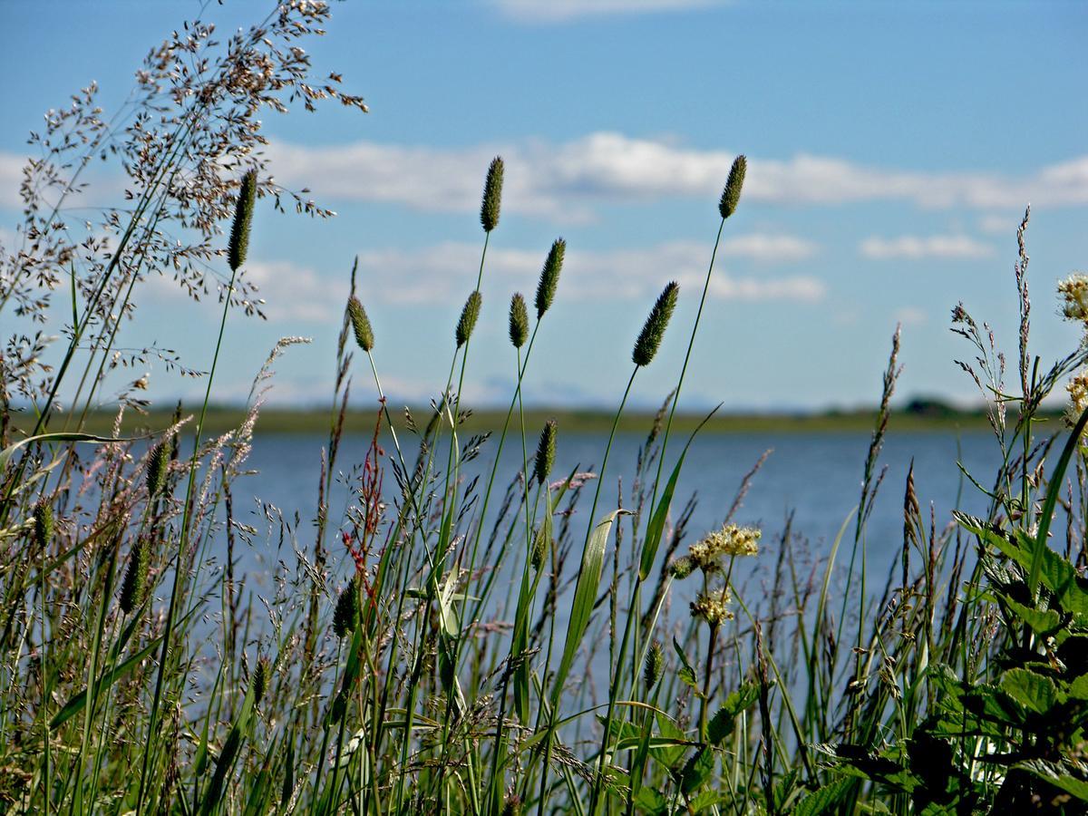Galleri - Gistiheimili Laugarvatn Buitenkant foto